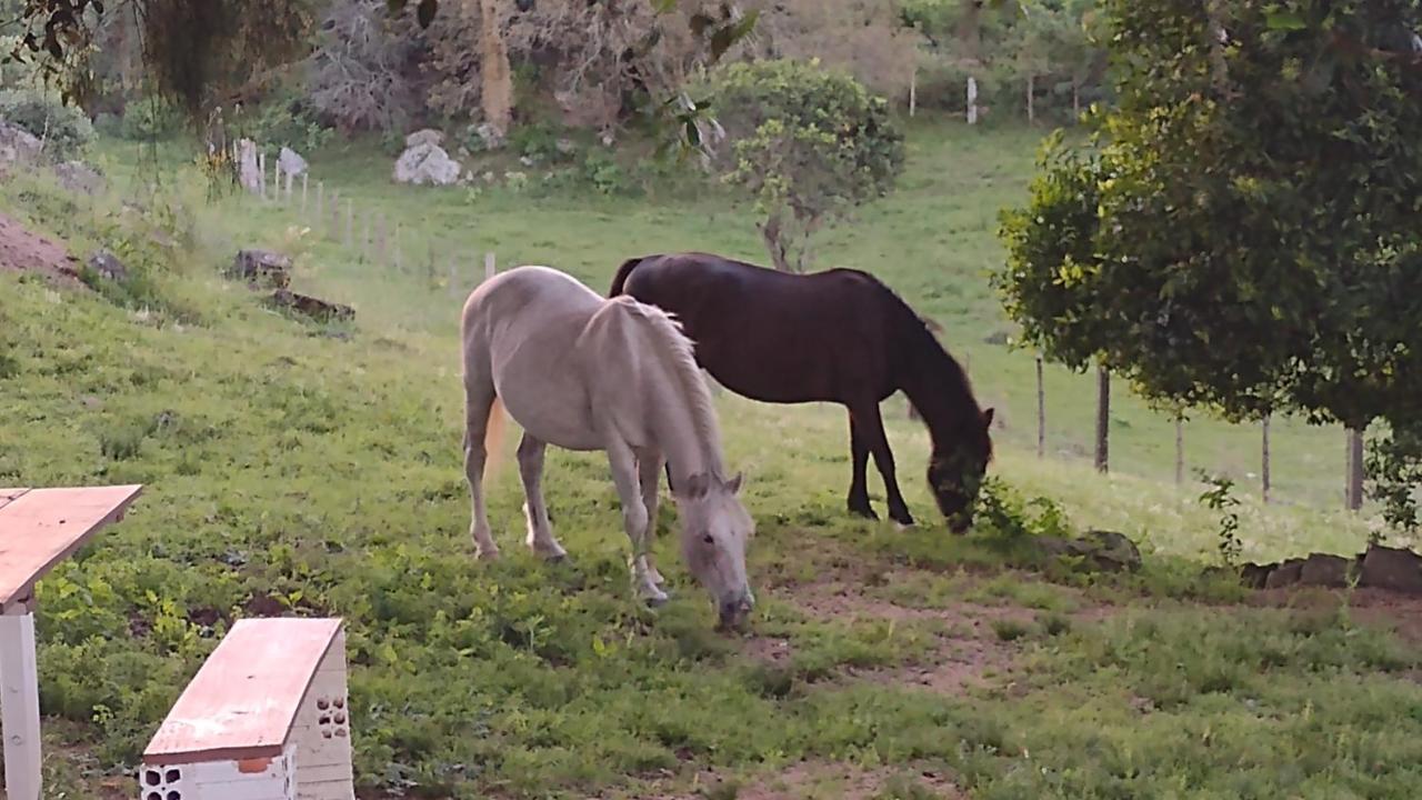 Casa & Chale Em Morro Redondo Rs Villa Luaran gambar
